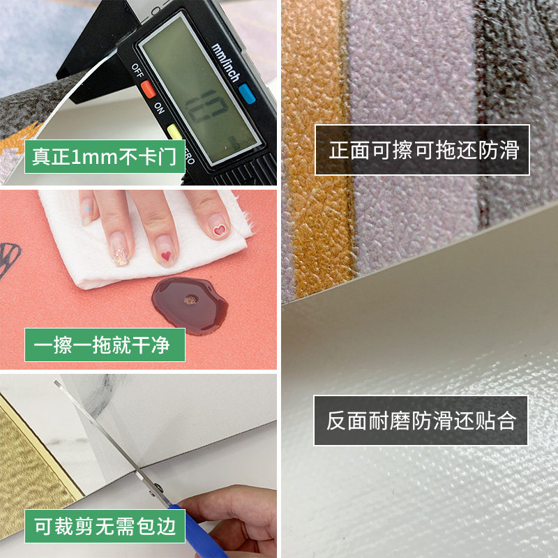 薄地垫1mm不卡门入户门可擦免洗防滑可裁剪薄款进门超薄地毯门垫