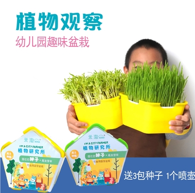 极速长草娃娃小盆栽幼儿园小花农创意迷你儿童种植体验发芽种草鲜