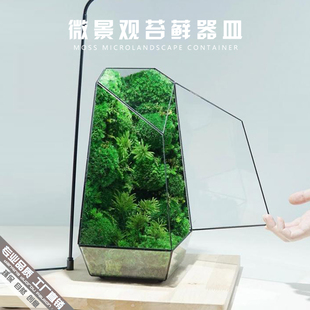 极速北欧创意桌面雨林苔藓微景观玻璃花房青苔造景绿植透明花盆生