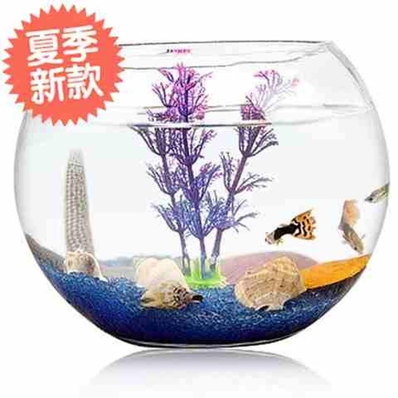 鱼缸透明玻璃办公桌m创意水培圆形圆球圆型小型乌龟迷你桌面小鱼