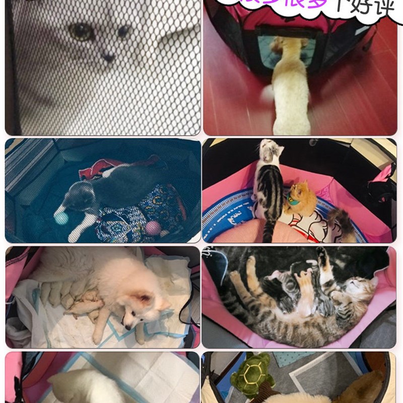 凉爽猫咪产房尿垫猫怀孕接生用四季猫窝网红深度透气帐篷封闭繁殖