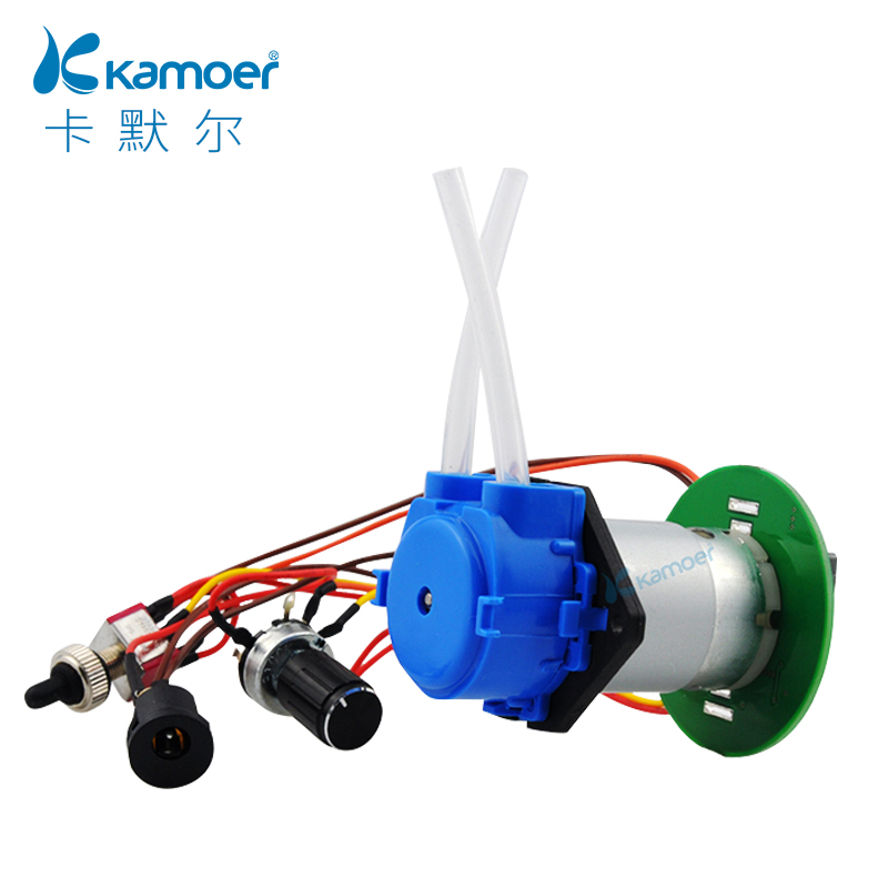 微型蠕动泵12v微型水泵实验室小型水泵 电动自吸泵带调速板抽水泵