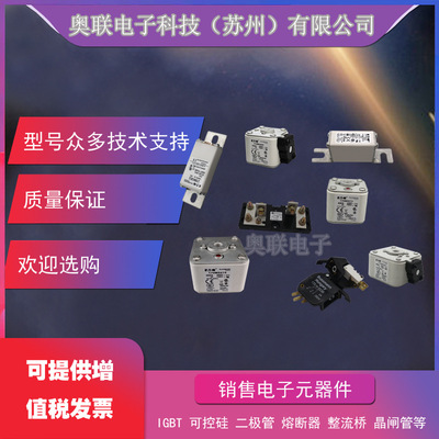 巴斯曼熔断器170M3708/3709/3710/3711/3712/3713/3714/3715现货