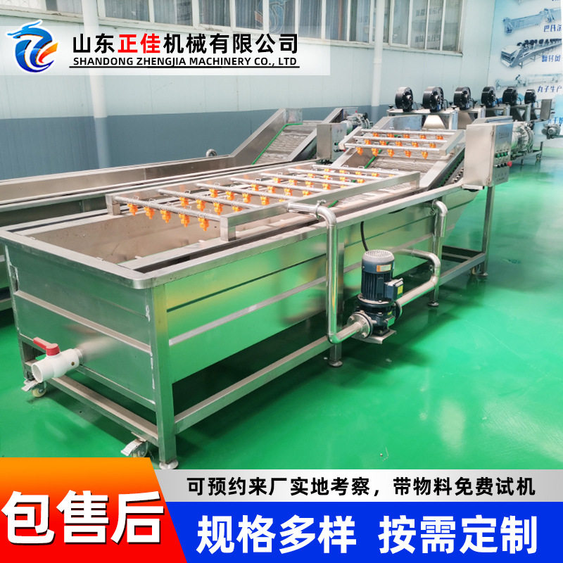 果蔬大枣气泡清洗机 柠檬高压喷淋清洗设备 食堂净菜成套设备