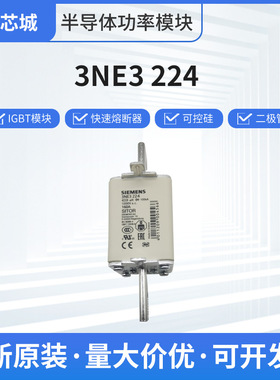 3NE3224 圆柱形熔断器 交流 保险丝  全国发货批次22+