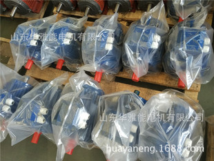 YXL-315M-4-132电机喇叭口接线盒1AL电机山舞银蛇欲与天公试比高