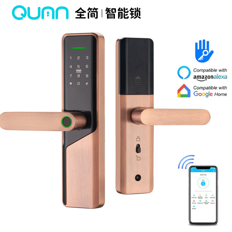 TTLOCK室内门指纹锁TUYA外贸多国语言木门锁家用办公室智能锁