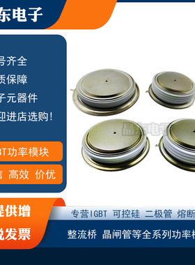 R3559TC16 R3559TC20 R3559TD16 R3559TD20全新相控晶闸管平板型