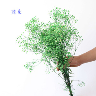 滿天星干花花束 飾永生花滿天星云南干花滿天星一束 ins風(fēng)家居裝