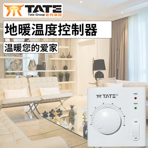 天津泰特地暖温度控制器TE-H2双温双控开关面板温控仪地暖温控器