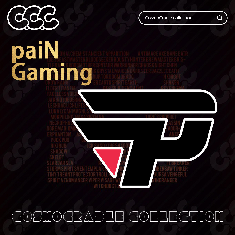 DOTA2 TI国际邀请赛 战队队标paiN Gaming