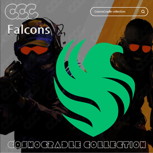 战队队标 Major Falcons