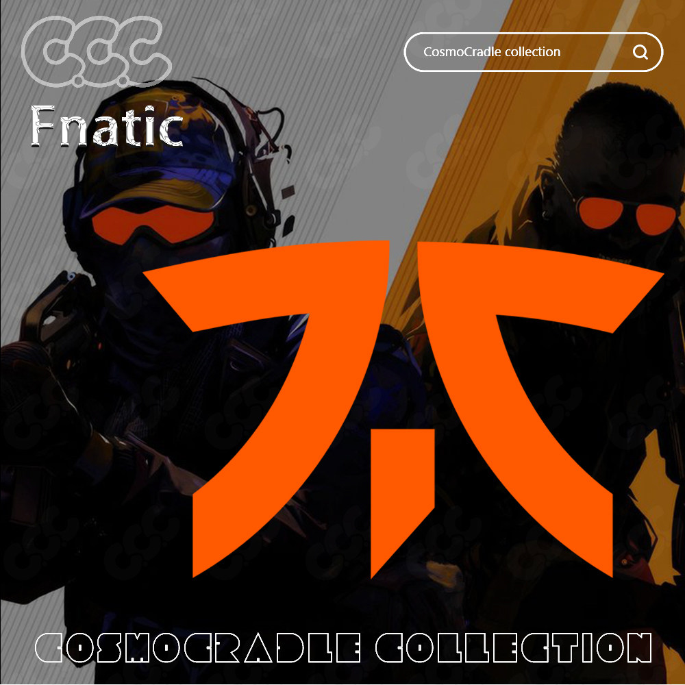 CS:G0 Major 战队队标 Fnatic