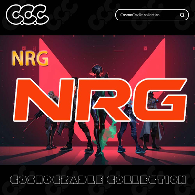 VALORANT Champions 战队队标 NRG