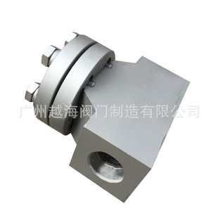 广州越海供应 不锈钢低温升降式止回阀 单向阀 液氧LNG低温止回阀
