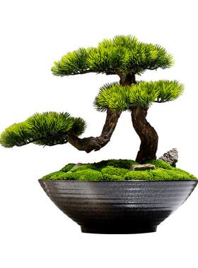 新中式禅意永生苔藓绿植盆景苏式家居装饰花客厅花架玄关花艺摆件