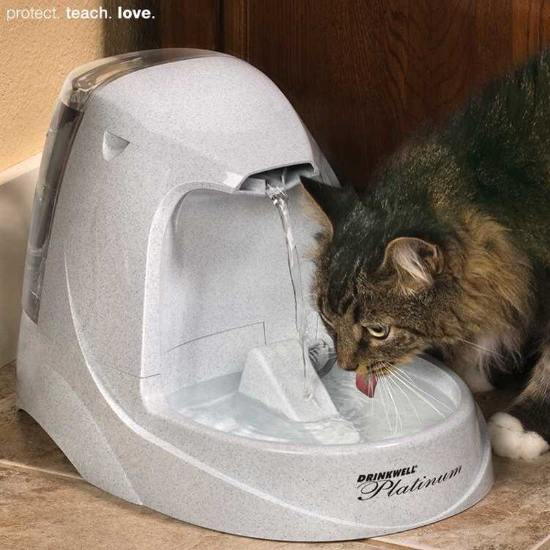 极速Petsafe贝适安猫咪宠物饮水机智能自动循环流动喷泉狗狗喝喂