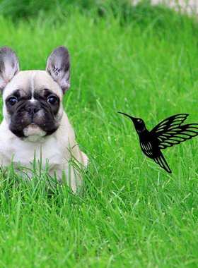 Bird placement in rural areas, garden, courtyard, bird plac