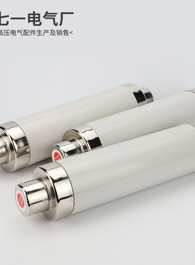 快速发货高压限流熔断器XRNT10-12KV10A20A40A50AQ63安80A100A箱