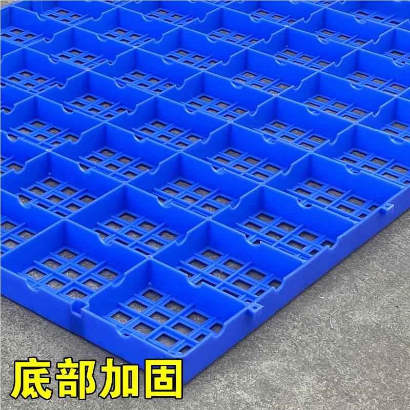酷朗恩防板塑料垫垫板网地格板塑料托盘冻库托板冷藏库台潮板仓库
