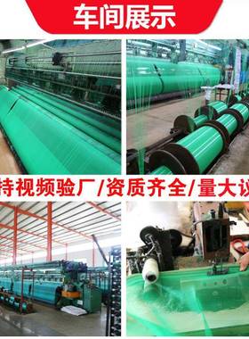 工地坠安全网建筑外防护网工厂防网脚架RTQ燃手架阻密目网绿色防