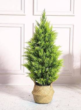 简约风居仿盆家装饰33481植物摆件塑料圣诞树景人造真松柏雪松植