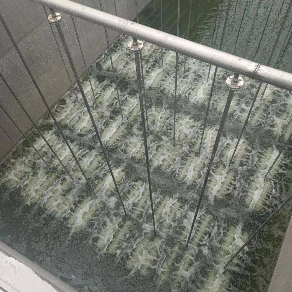 一PH-H-S-0拖曝四不锈钢支架曝气组M管式曝气管器组市政污水气1稳