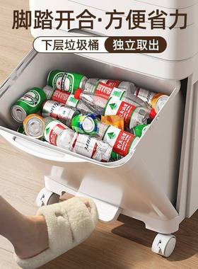 日式厨房垃圾桶分类带家大用48091移容动立式收纳双层号盖大量干