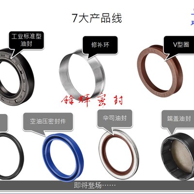 NAK台湾骨架油封进口TCN11/SC/TB/TA/TG/TF/VG1/TDN1/MK型密封件