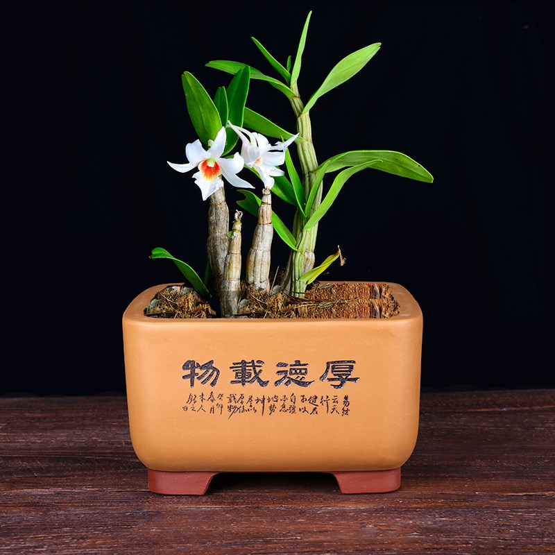 蔓木人紫砂宜兴紫砂花盆四方盆景盆松树树桩精品手工刻绘桌面包邮