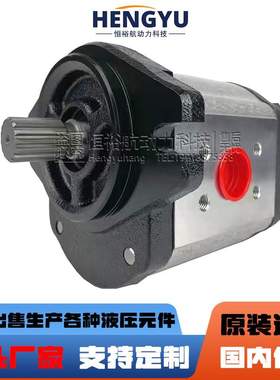 油泵BLUEASCEND齿轮泵AP20.160.CGL01SN AP10.009 AP30.730液压泵