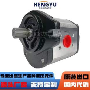 油泵BLUEASCEND齿轮泵AP20.160.CGL01SN AP30.730液压泵 AP10.009