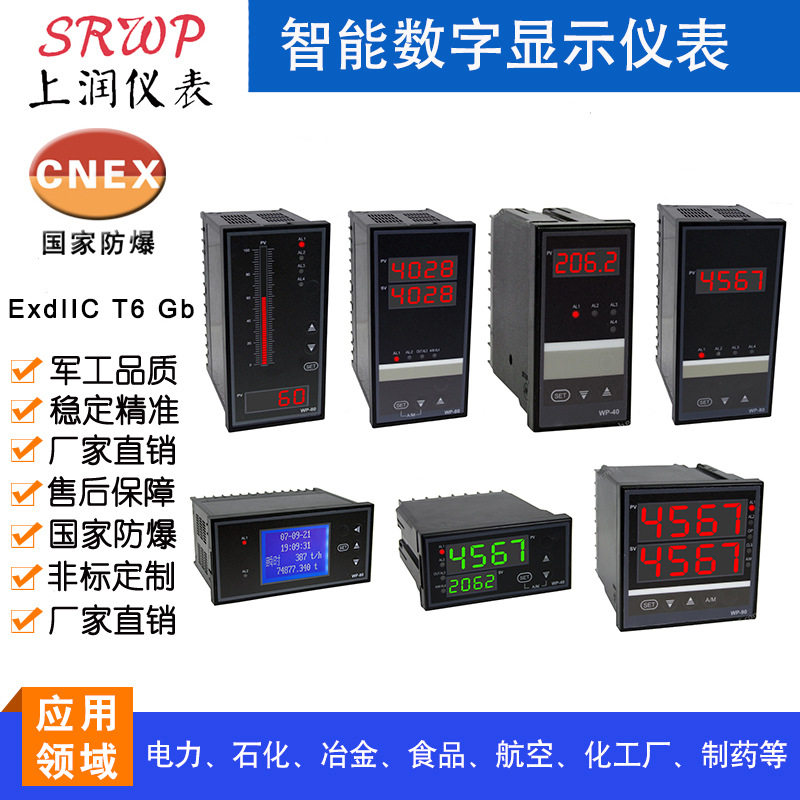 CH6-CHRTA1V0智能单屏数显控制仪  尺寸96*48数字显示报警器