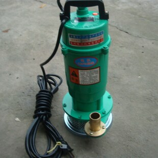 小型220v家用抽水泵370w750W潜水泵清水泵高杨程静音浇菜水泵