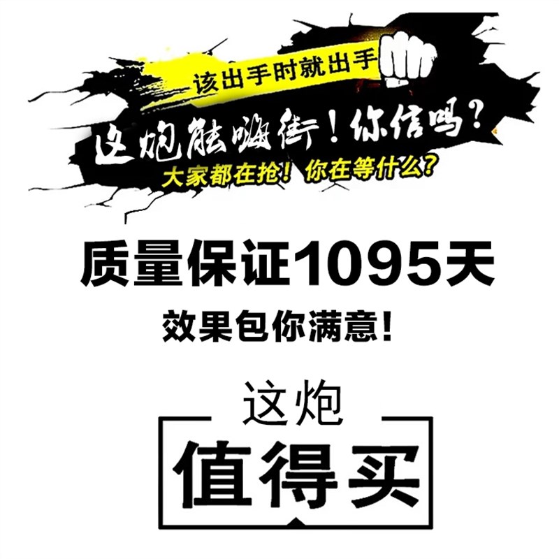 逐音汽车音响10寸有源低音炮车载重低音喇叭大功率功放木箱改装