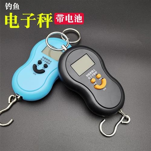 钓鱼用电子称电子秤鱼重钓鱼小配件其他垂钓用品工具秤鱼