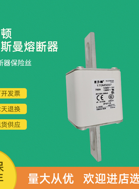 全新快速熔断器保险170M5616 170M5617 170M5618 170M5644