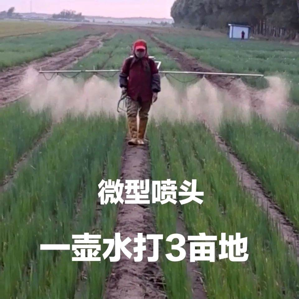 电动喷雾器打药多喷头打药杆一整套喷药神器农用打药神器懒人支架,农用物资,可移动滴灌袋,淘宝优惠券,粉丝福利购,淘宝优惠卷