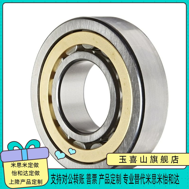 怡合达型 N207EM N309EM N310EM 圆柱滚子轴承 外圈无挡边