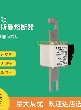 全新快速熔断器保险170M3258 170M3259 170M3260 170M3261