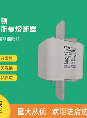 全新快速熔断器保险170M6816 170M6817 170M6827 170M6828