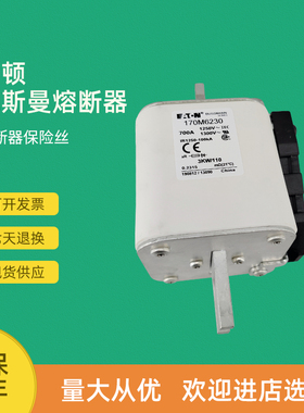 全新快速熔断器保险170M6207 170M6208 170M6209 170M6210
