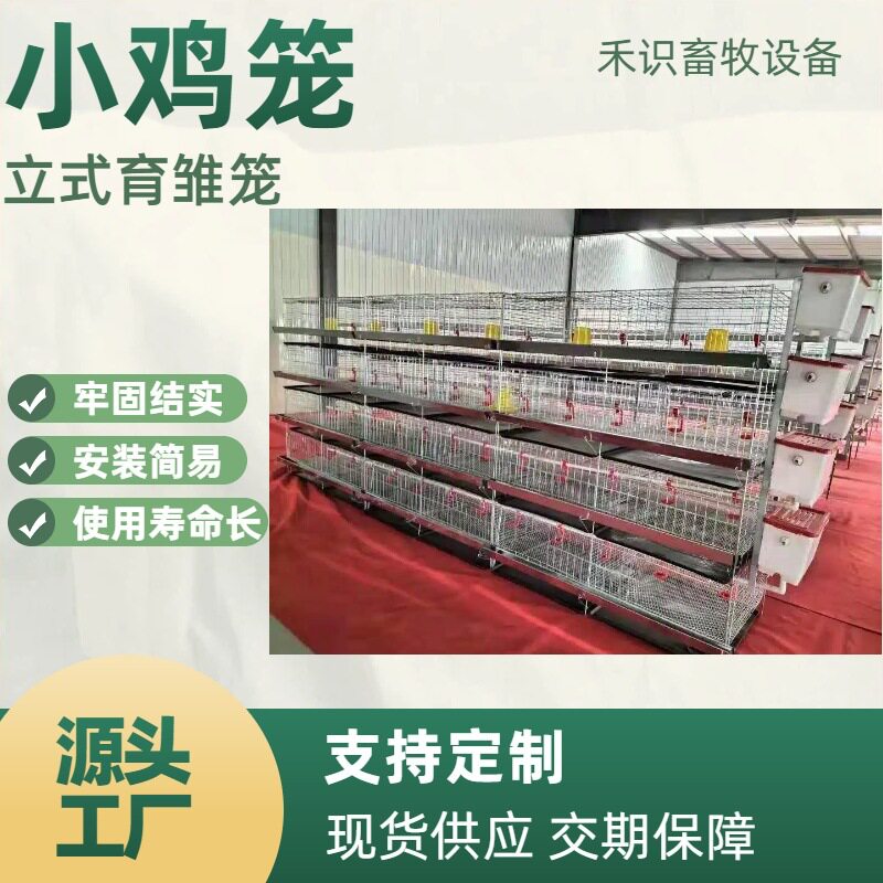 立式育雏小鸡笼雏鸡育苗笼养雏鸡笼养殖场铁丝镀锌防夹防跑小鸡笼