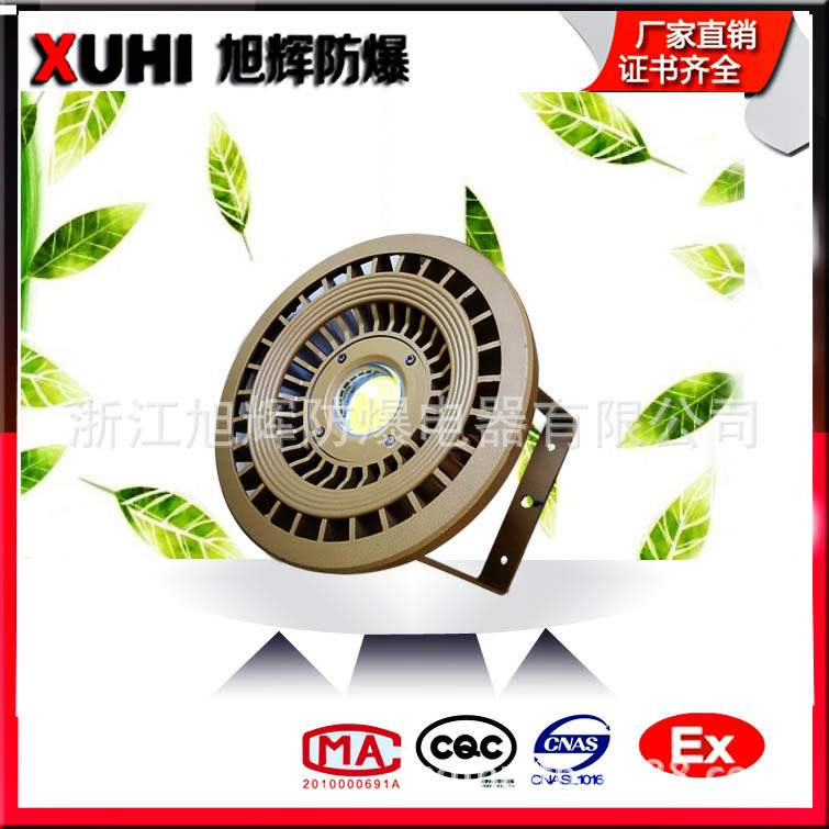 50W/200WLED防爆灯防腐防爆投光灯荧光灯厂房仓库适用照明灯