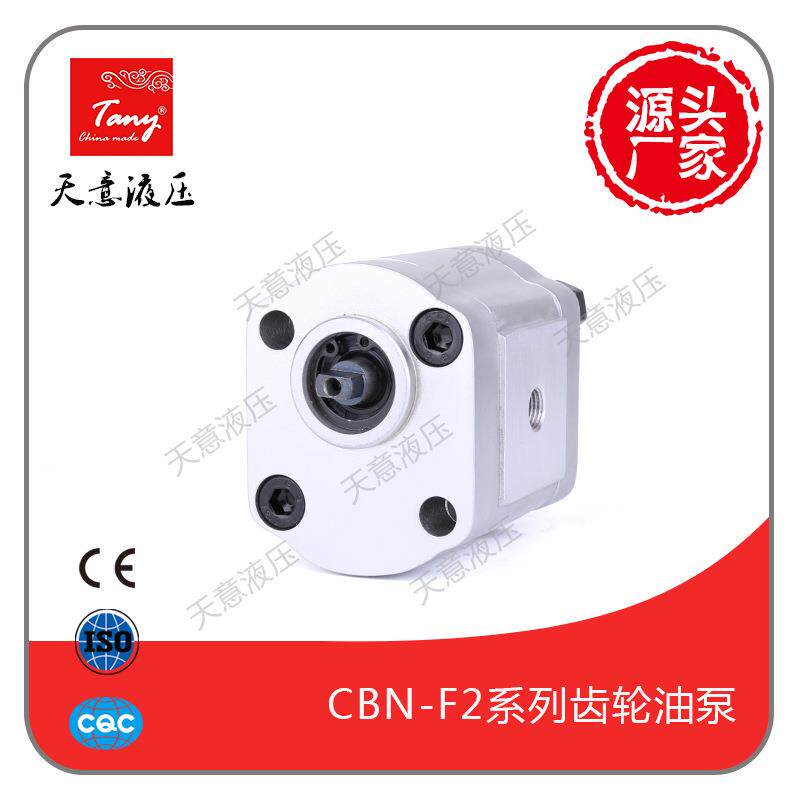 供应高压齿轮油泵CBN-F2010机床润滑小型液压系统专用齿轮泵