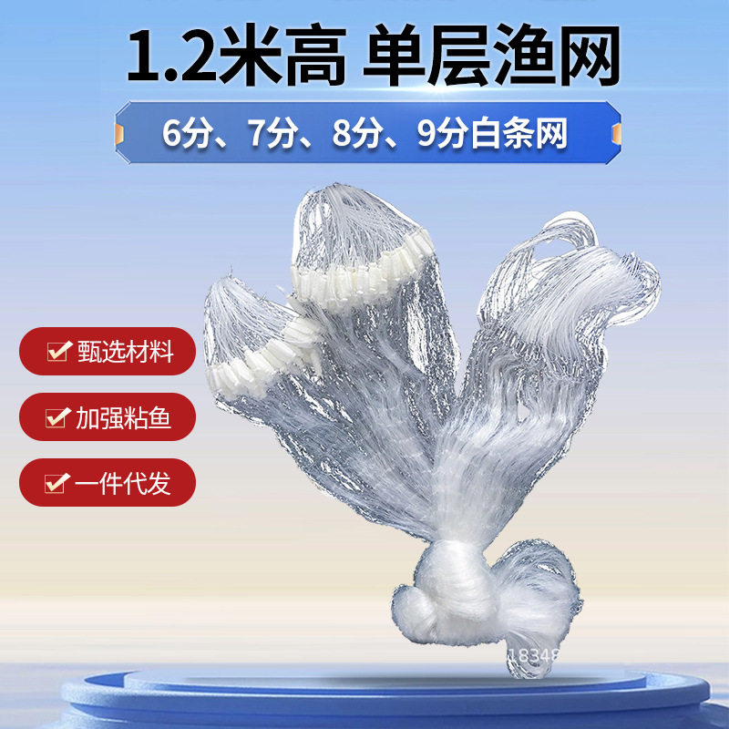 单层渔网浮网沉网沾鱼网1米1.2米高6、7、8、9分30米小白条铅坠网
