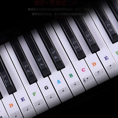 Transparent detachable music decal notes piano keyboard stic