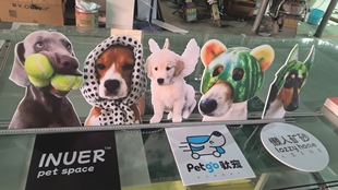 免抠INS风搞怪小狗PNG狗狗头像宠物店相片墙相片制作kt板打印定制