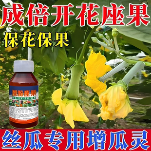 进口丝瓜授粉座果精丝瓜授粉药叶面肥沾花素防落素保花保果防落药