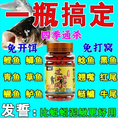 邓刚钓鱼饵料颗粒鲜丹蚯蚓红虫颗粒野钓鲫鱼鲤鱼草鱼鳊鱼青鱼专用